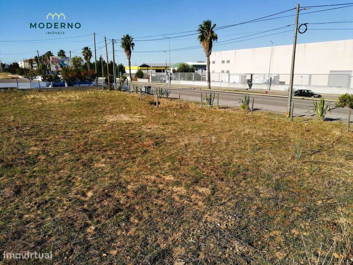 Lote industrial, Quinta do Arneiro - Chamusca - Grande imagem: 2/9