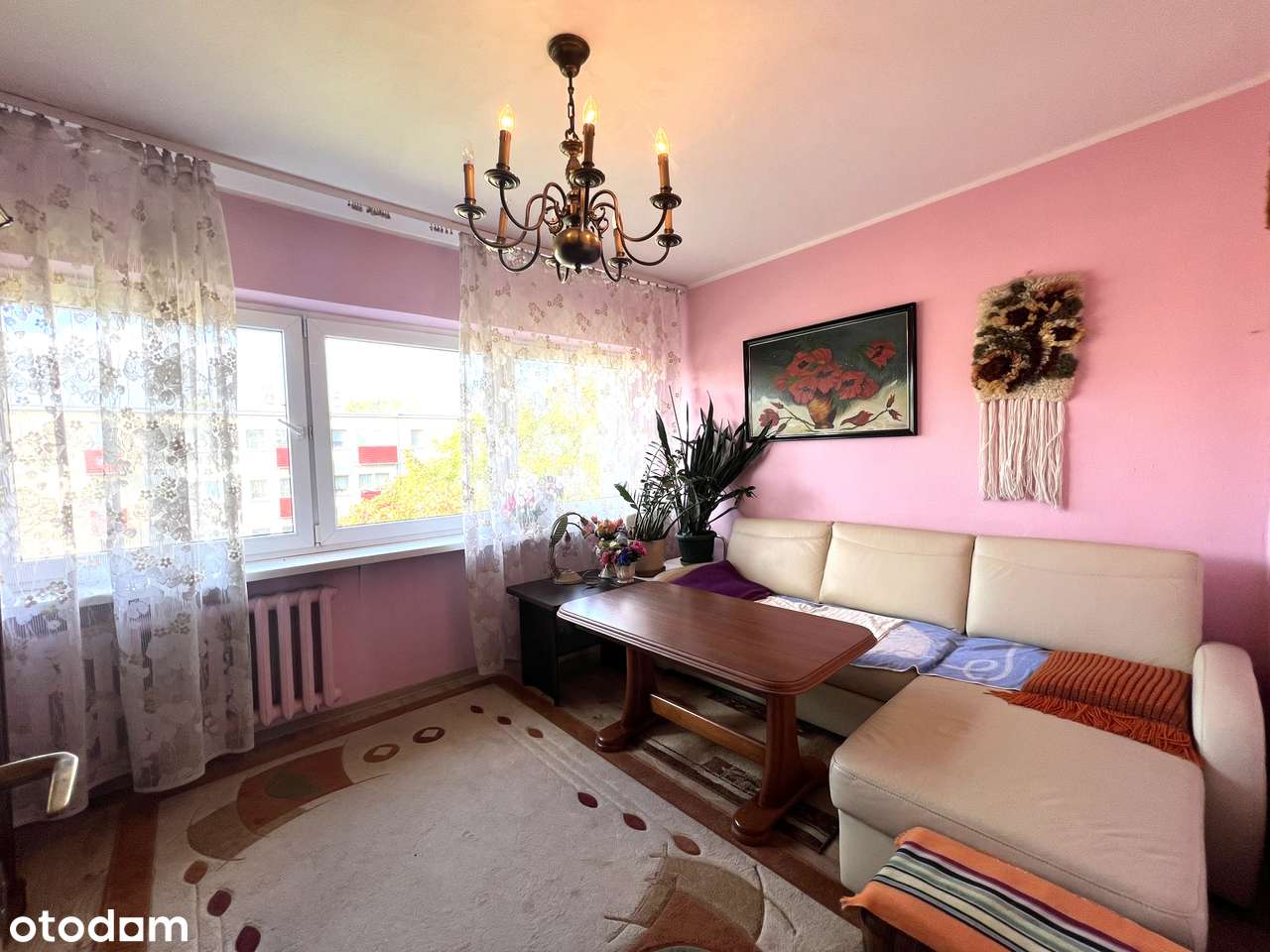 3 pokoje/Tysiąclecie/Armii Krajowej! - Pełny obrazek: 2/5