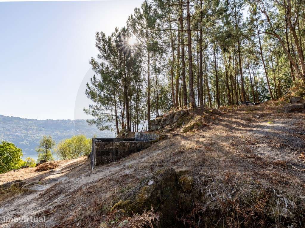 Propriedade com Vista Panorâmica para o Douro Moradia e Terreno com...-42