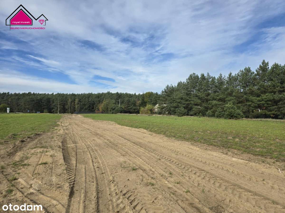 Działka rekreacyjna przy lesie Adamowo gm. Kleczew - Pełny obrazek: 5/8