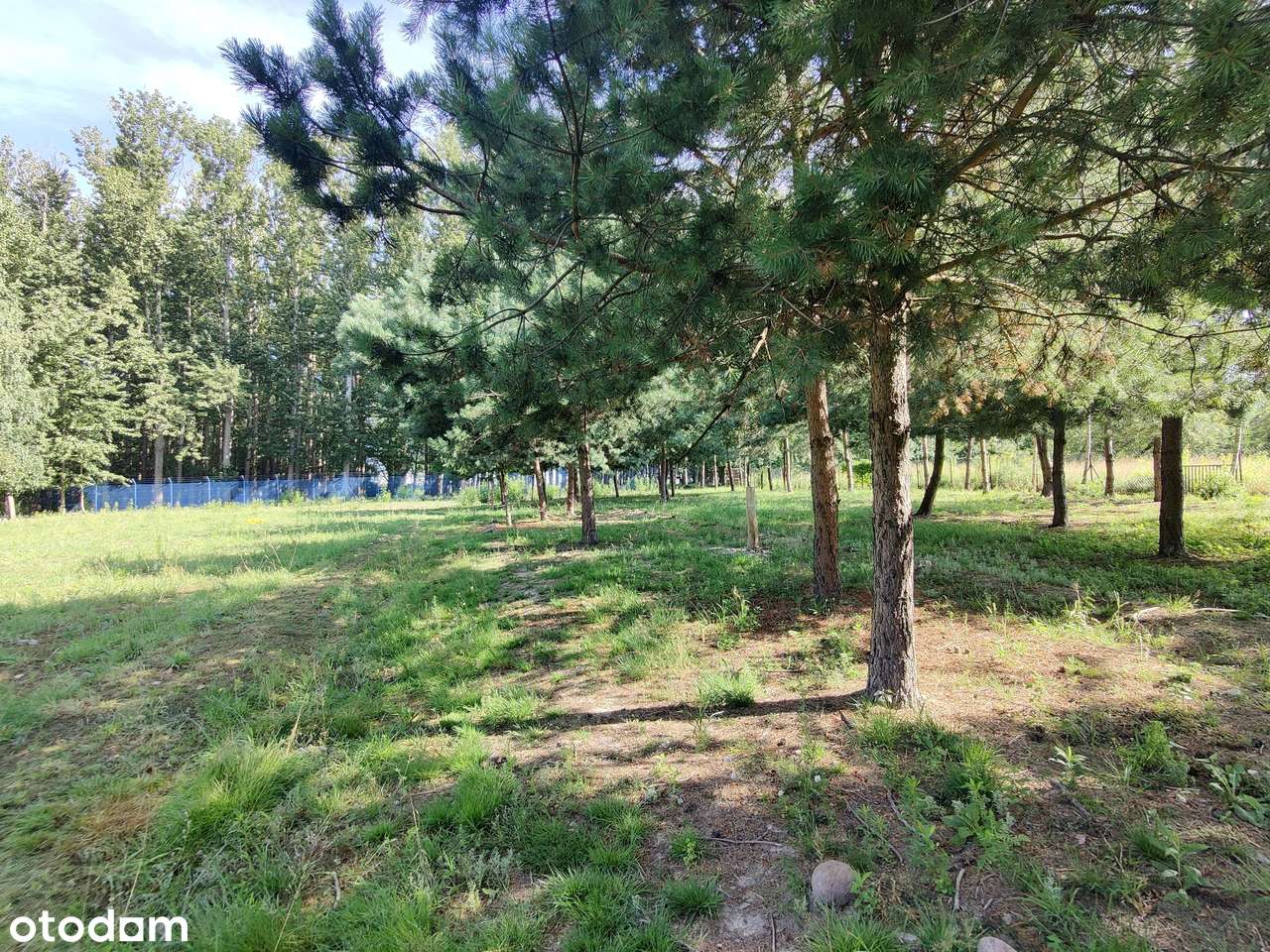 Ogrodzona rolno-budowlana w Janowie-10