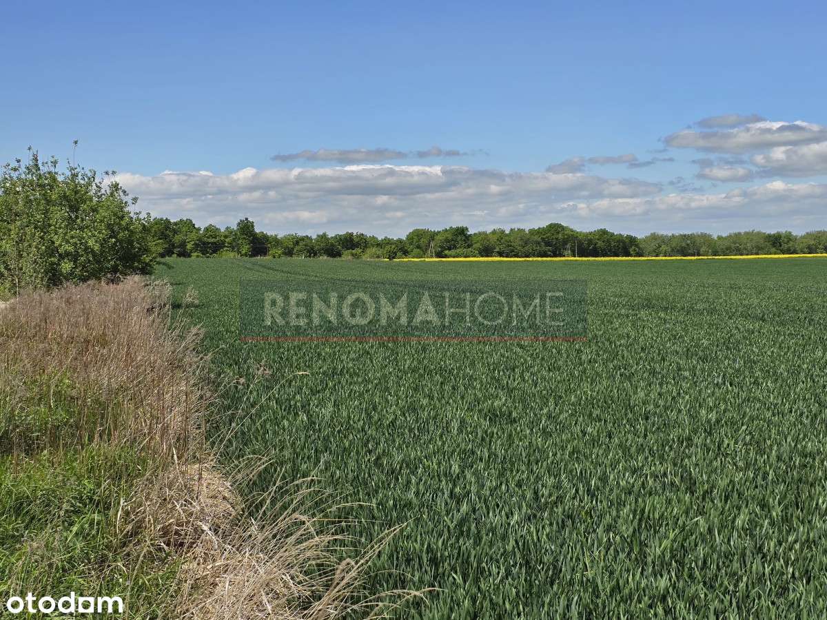 Wyjątkowa działka budowlana pod Świdnicą - Pełny obrazek: 5/13