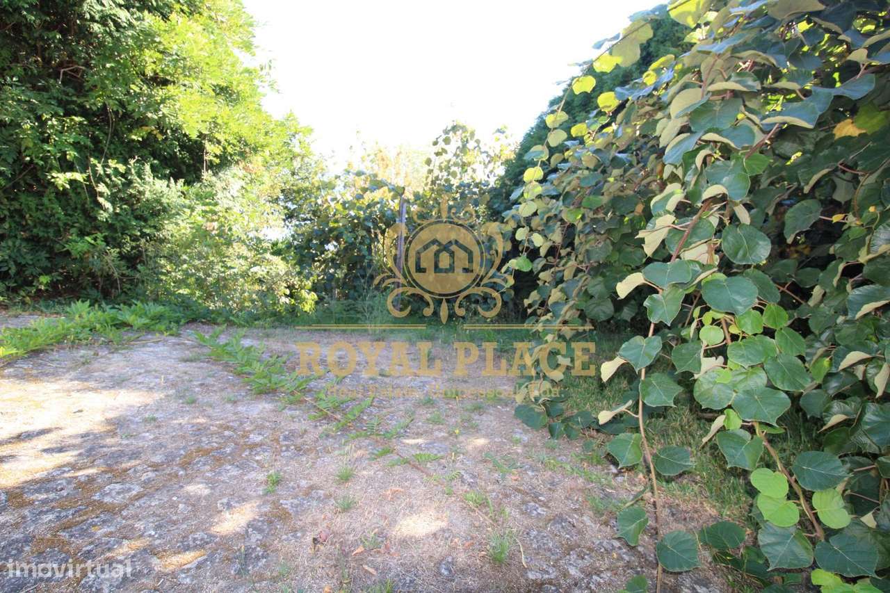 Quinta com armazém em Ossela, Oliveira de Azeméis-20