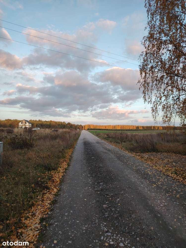 Działka z pozwoleniem na budowę, przy lesie - Pełny obrazek: 3/6