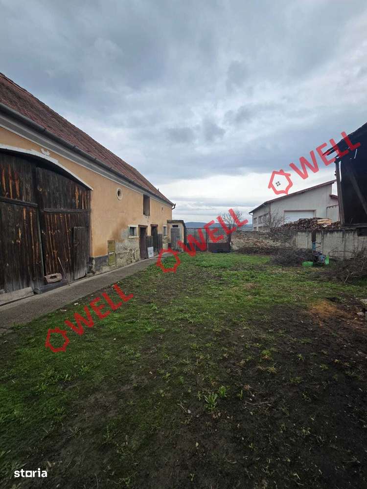 De vânzare casă familială în loc.Ormeniș - Imagine principală: 3/18