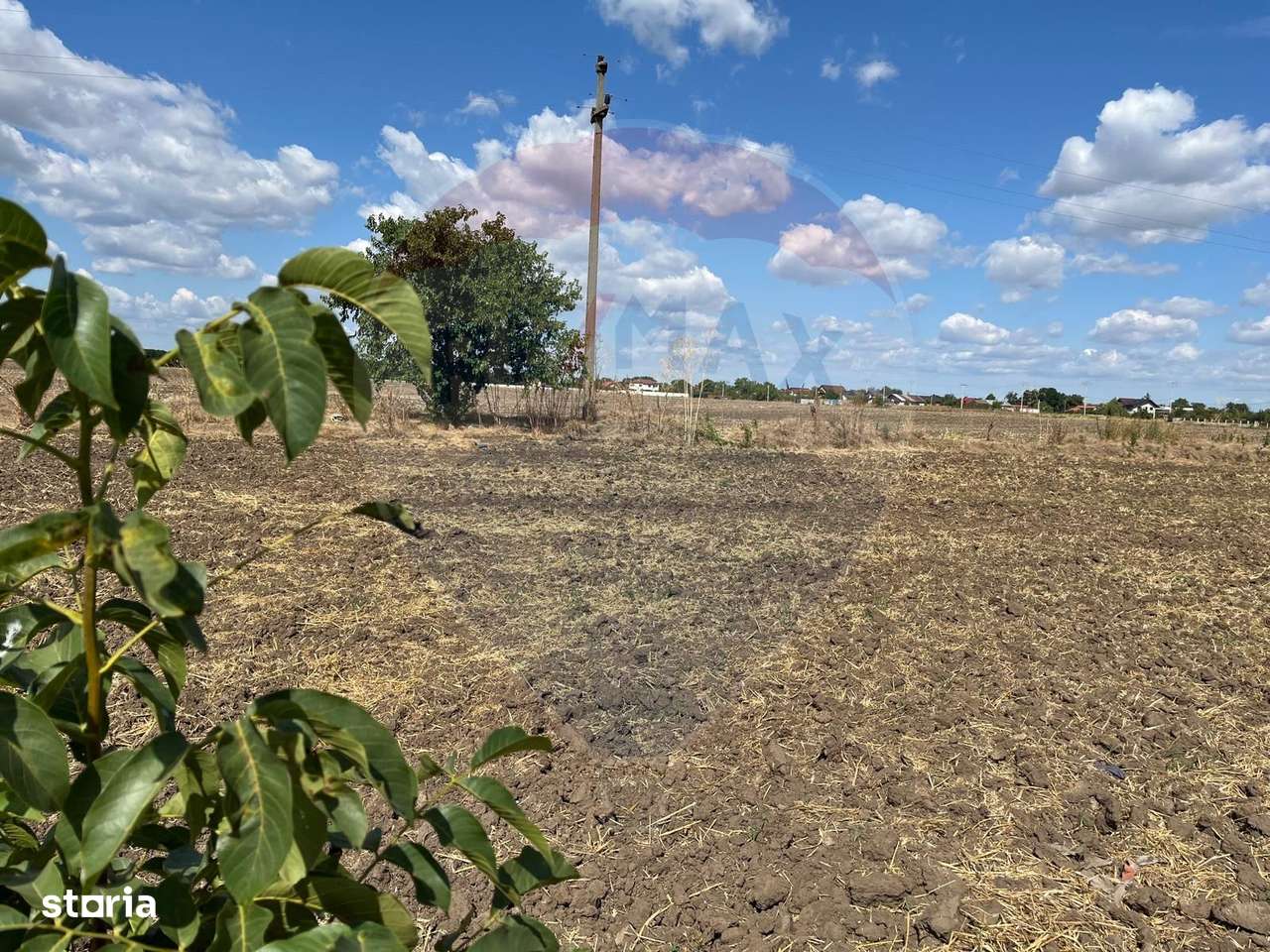 De vanzare teren intravilan 4000 mp, deschidere 150 m Fundulea - Imagine principală: 3/13