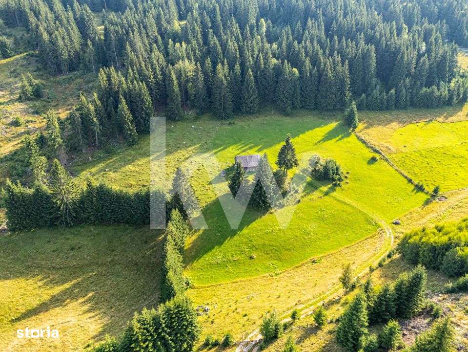 Teren de vanzare, Fundata, Brasov – view superb, investitie - COMISI-0