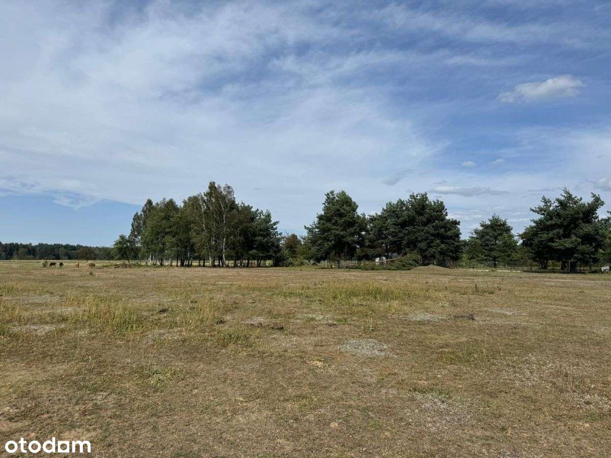 Boronów, ul. Grabińska – działka budowlana 804 m²-1