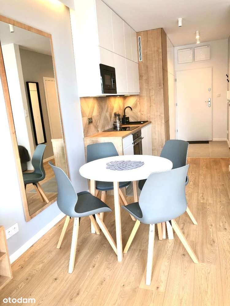 Wynajmę mieszkanie/ Łódź CENTRUM/ Apartm. for rent - Pełny obrazek: 4/20