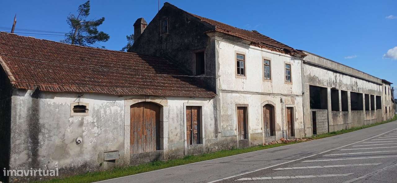Grande área em Sabacheira, Tomar junto à Estação de Fátima com ca - Grande imagem: 2/23