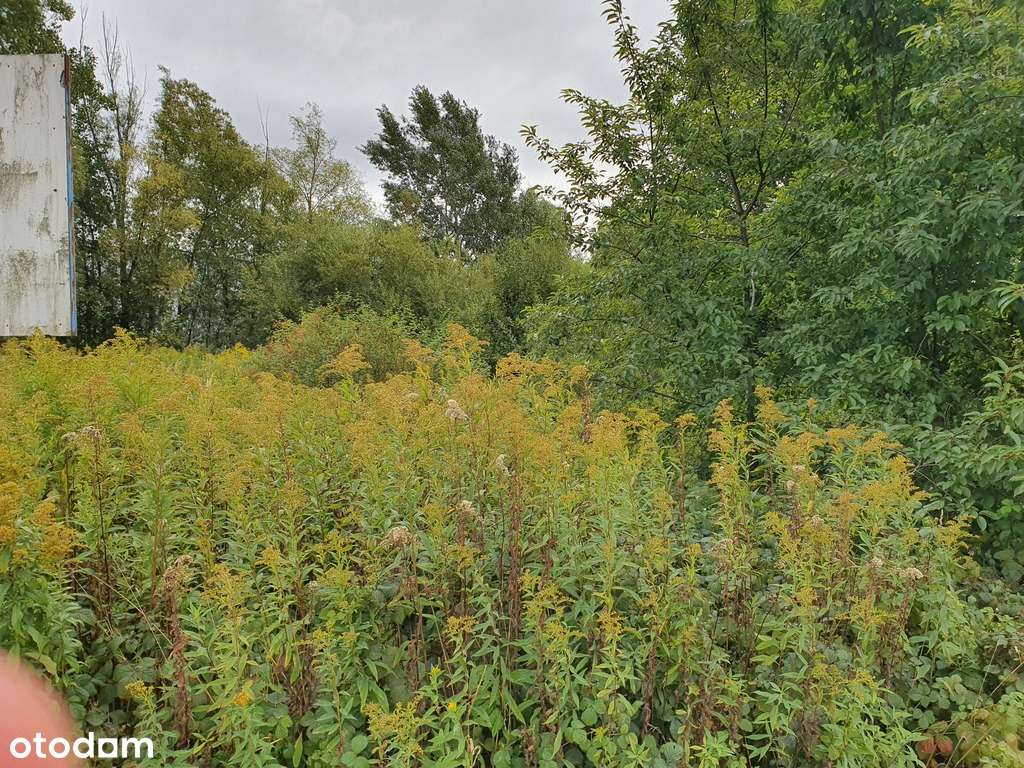 Działka budowlano-usługowa Wrocław Strachowice-6