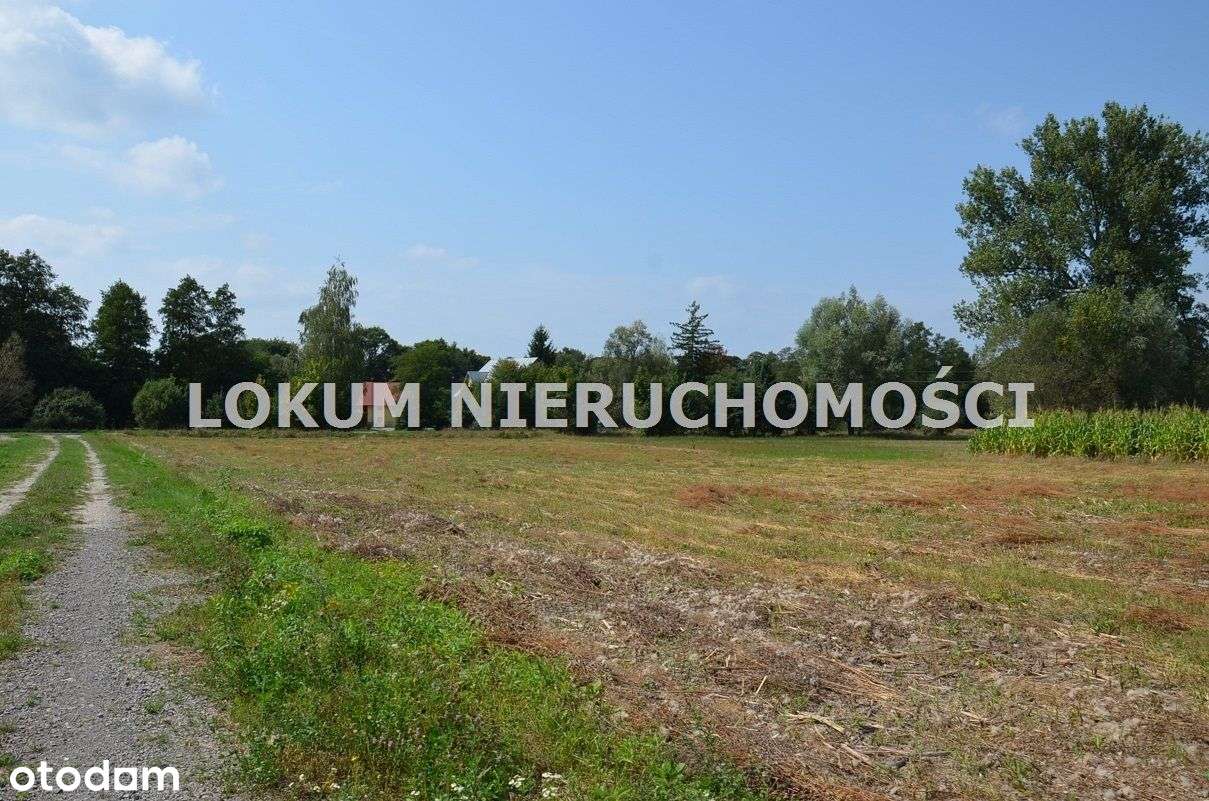 Działki Budowlane W Radgoszczy 10ar i 11ar. - Pełny obrazek: 4/5