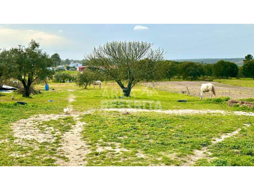 Moradia isolada T4 (Quinta com 5100 m2) - Fajarda (Coruche-Santarém) - Grande imagem: 2/48