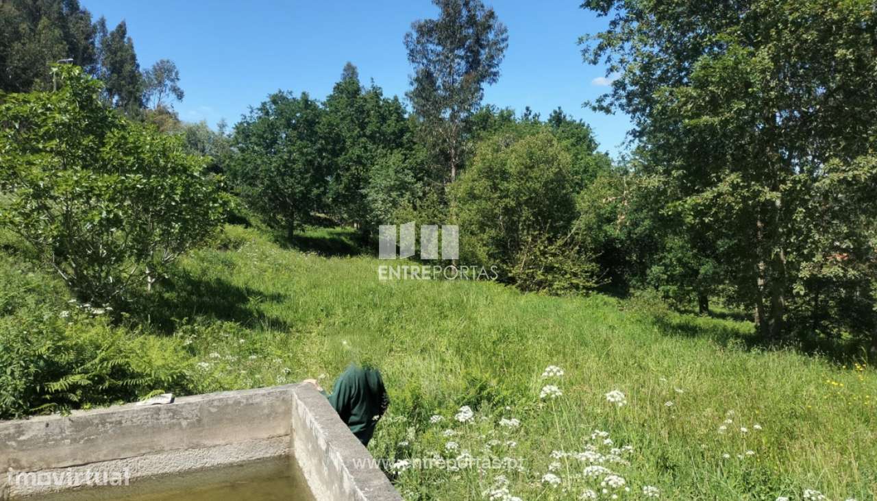 Terreno para venda, Vilarelho, Caminha - Grande imagem: 5/12