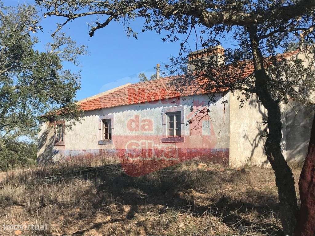 Quinta com habitação em São Francisco da Serra - Grande imagem: 5/11