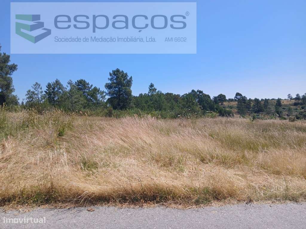 Terreno Rustico a 15km de Castelo Branco - Grande imagem: 4/9