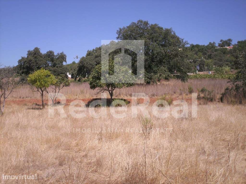 Terreno rústico, Loulé - Grande imagem: 2/2