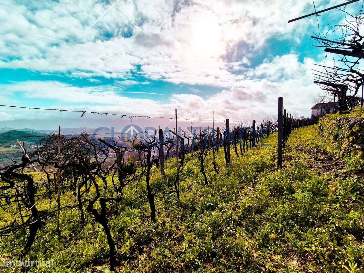 Quinta com 5250 m² & Moradia T1 em Pedra – Baião-42