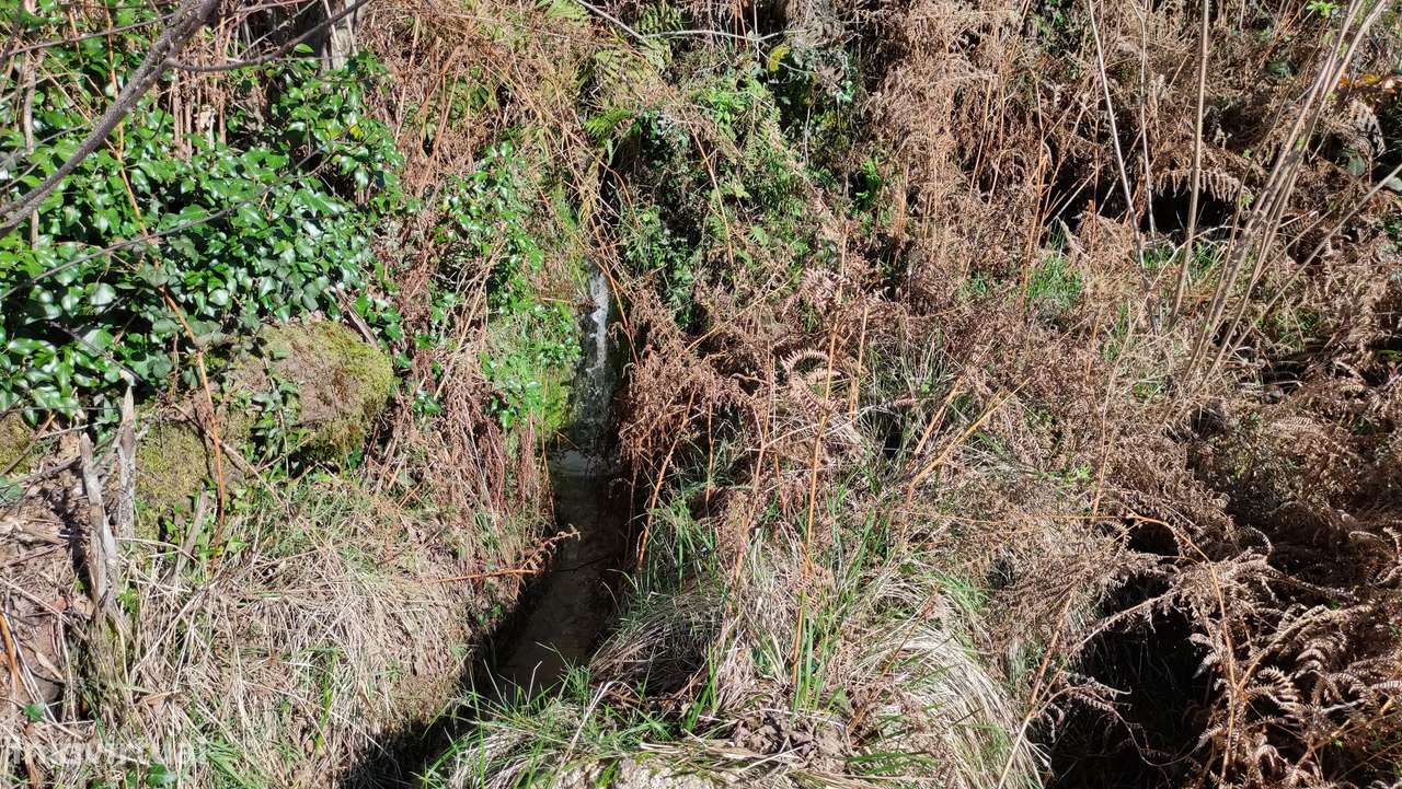 Terreno Rústico  Venda em Gouveia (São Simão),Amarante-10