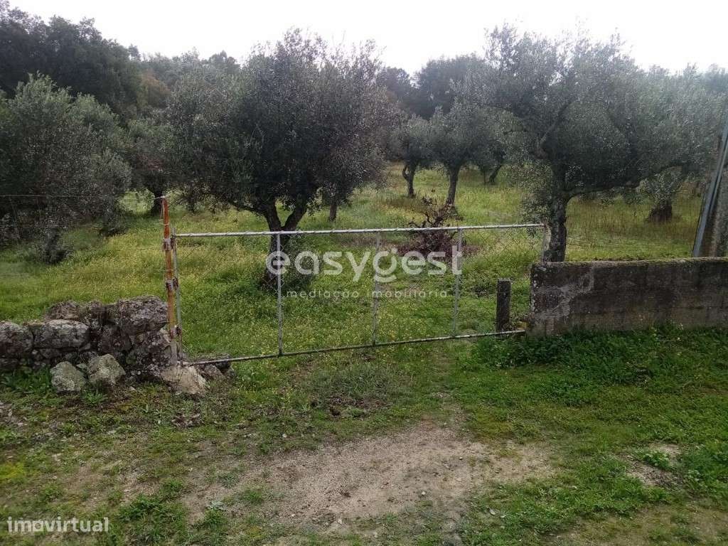 Terreno junto a ribeira, vista para a cascata em Povoa Rio de Moinhos - Grande imagem: 3/13