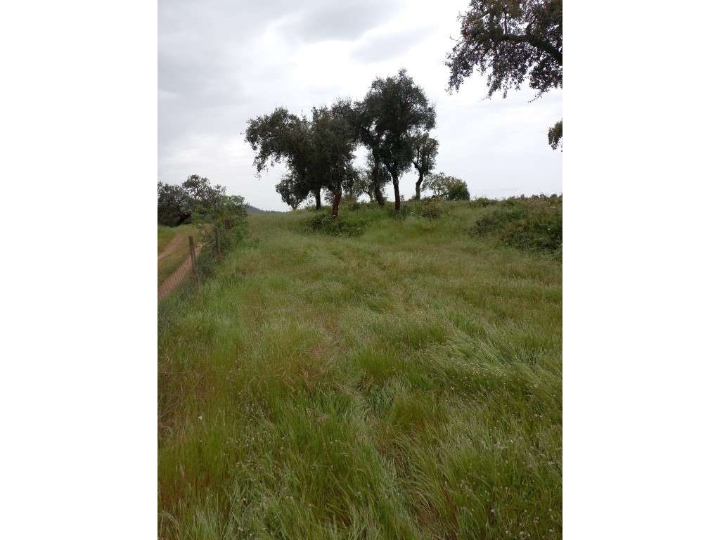 Monte Alentejano - Grândola-14