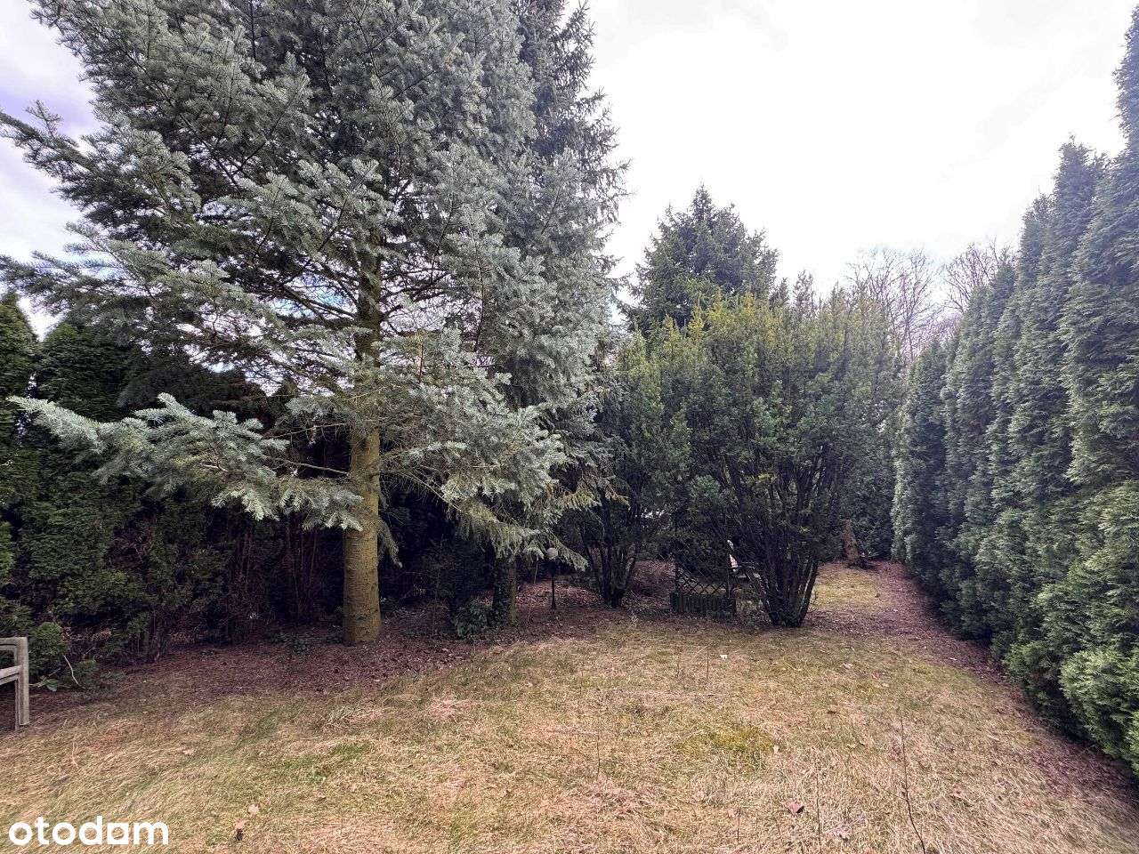 Duży dom do zamieszkania lub na działalność-5