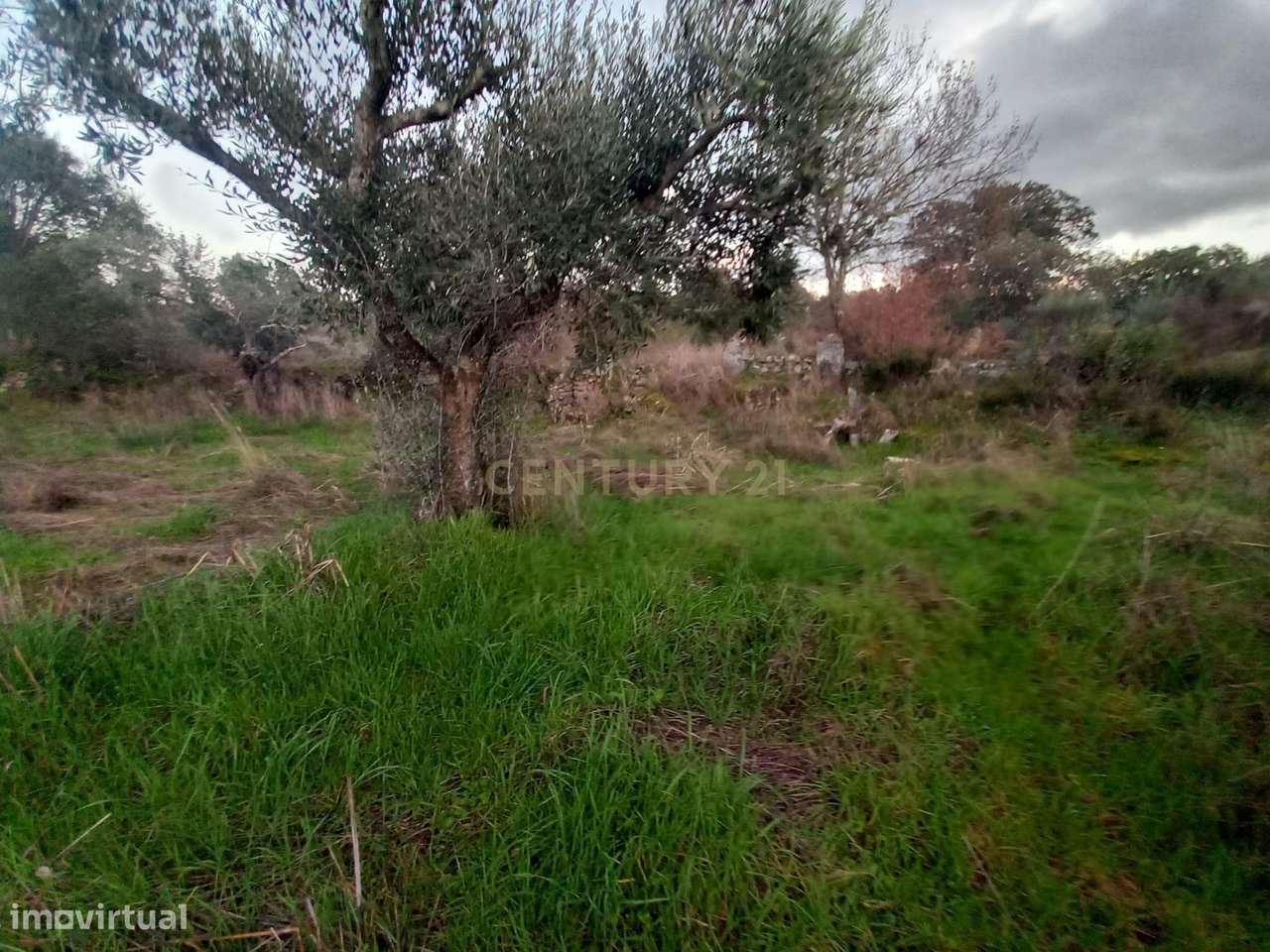 Terreno com Vista Panorâmica em Aldeia de Santa Margarida - Grande imagem: 3/7
