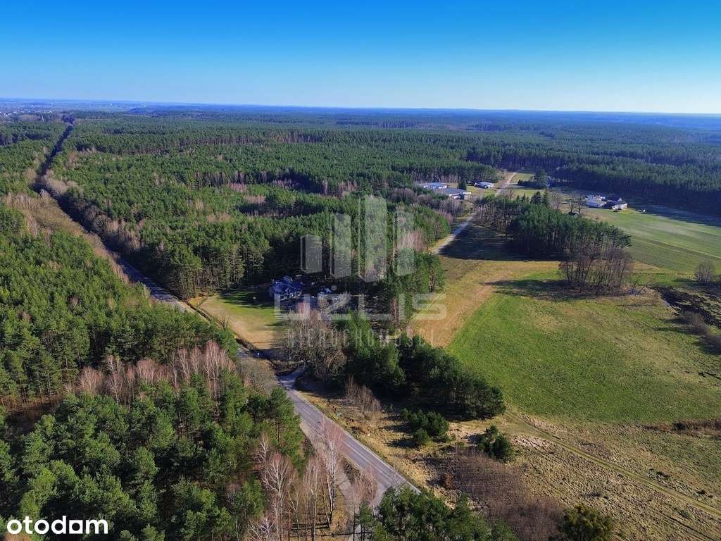 Działka pośród terenów zielonych, Bory Tucholskie - Pełny obrazek: 4/18