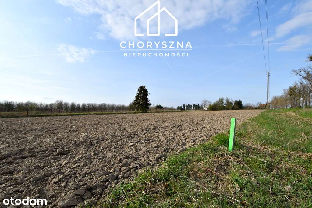 Działka budowlana w Bierutowie -możliwość podziału-8