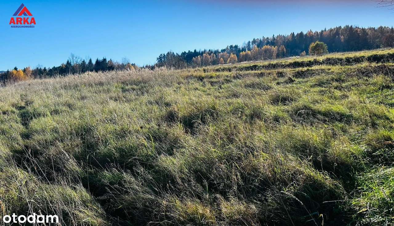 Działka budowlana z panoramą 45 km od Krakowa - Pełny obrazek: 5/13