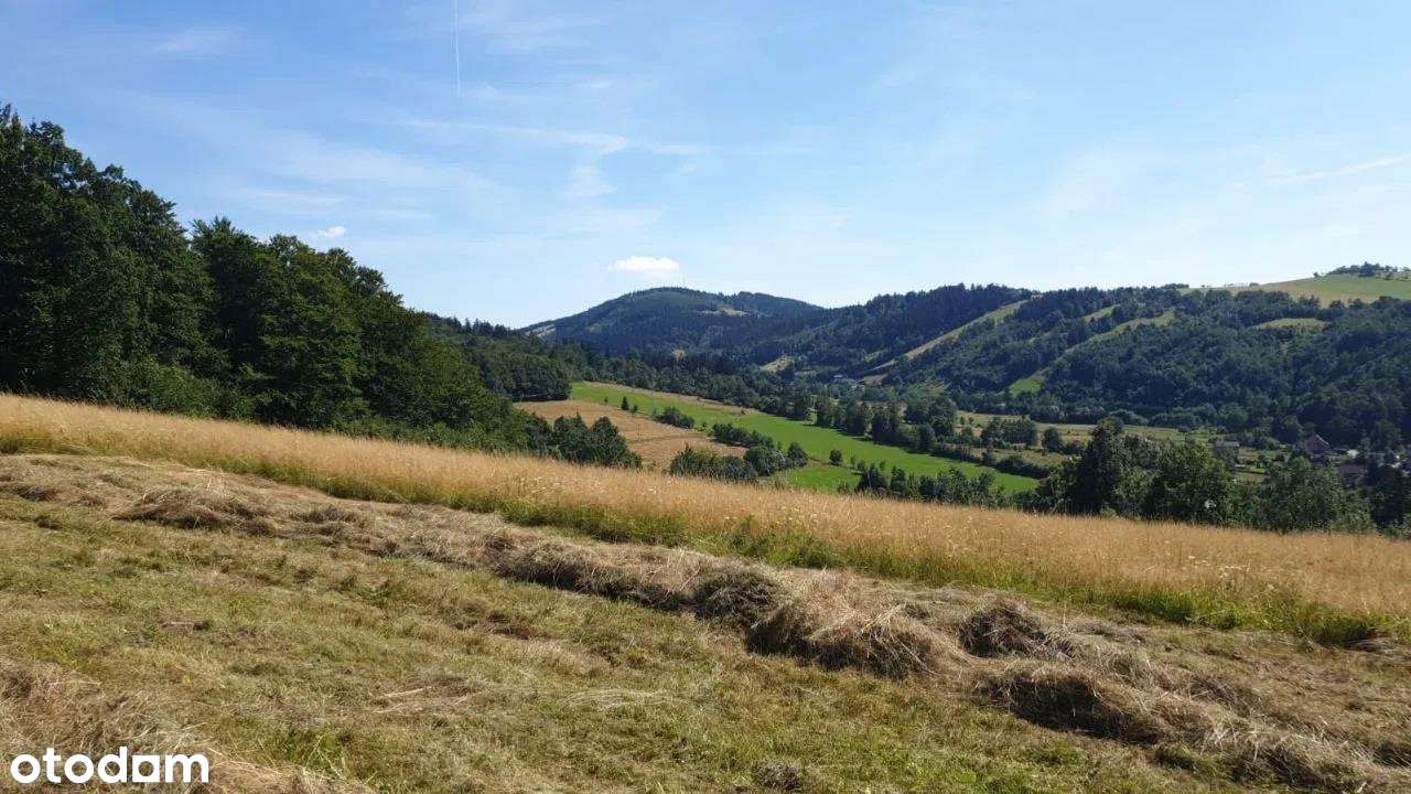 Urokliwa działka w Górach Sowich-8