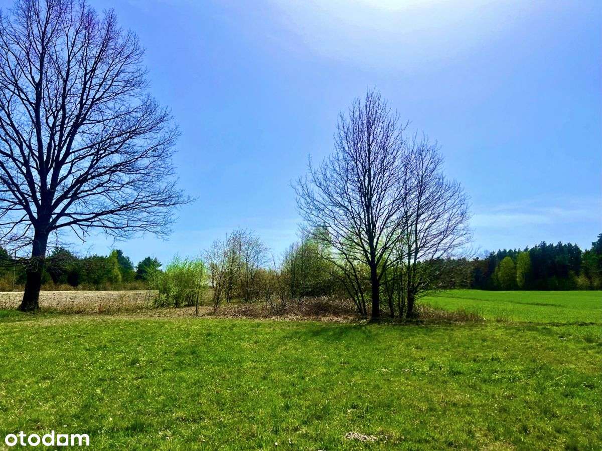 Sielsko i inwestycyjnie – 1,4 ha blisko Warszawy-16