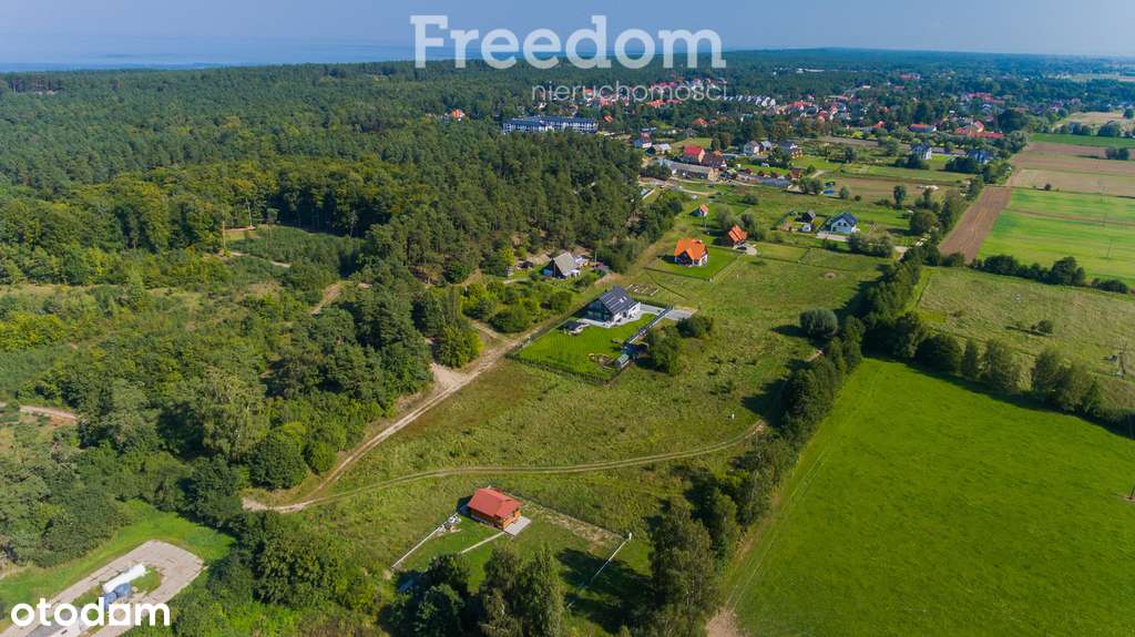 Klimatyczne działki w Jantarze nieopodal lasu - Pełny obrazek: 4/8