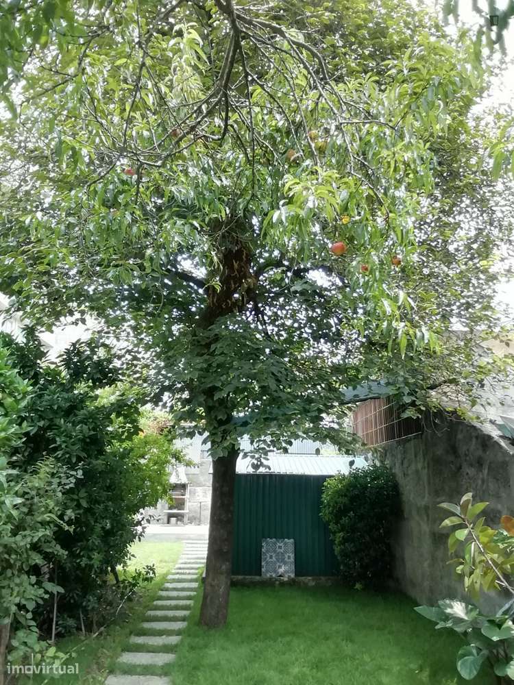 Apartamento com 2 quartos - localizado em Cedofeita Porto - Grande imagem: 3/7