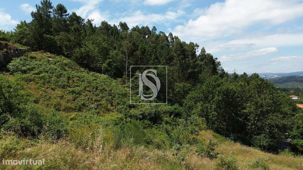 Terreno da Macieira - Grande imagem: 5/22