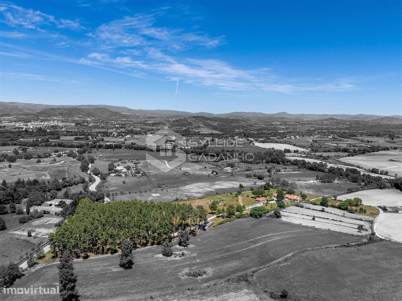 Quinta T8 Venda em Caria,Belmonte-6