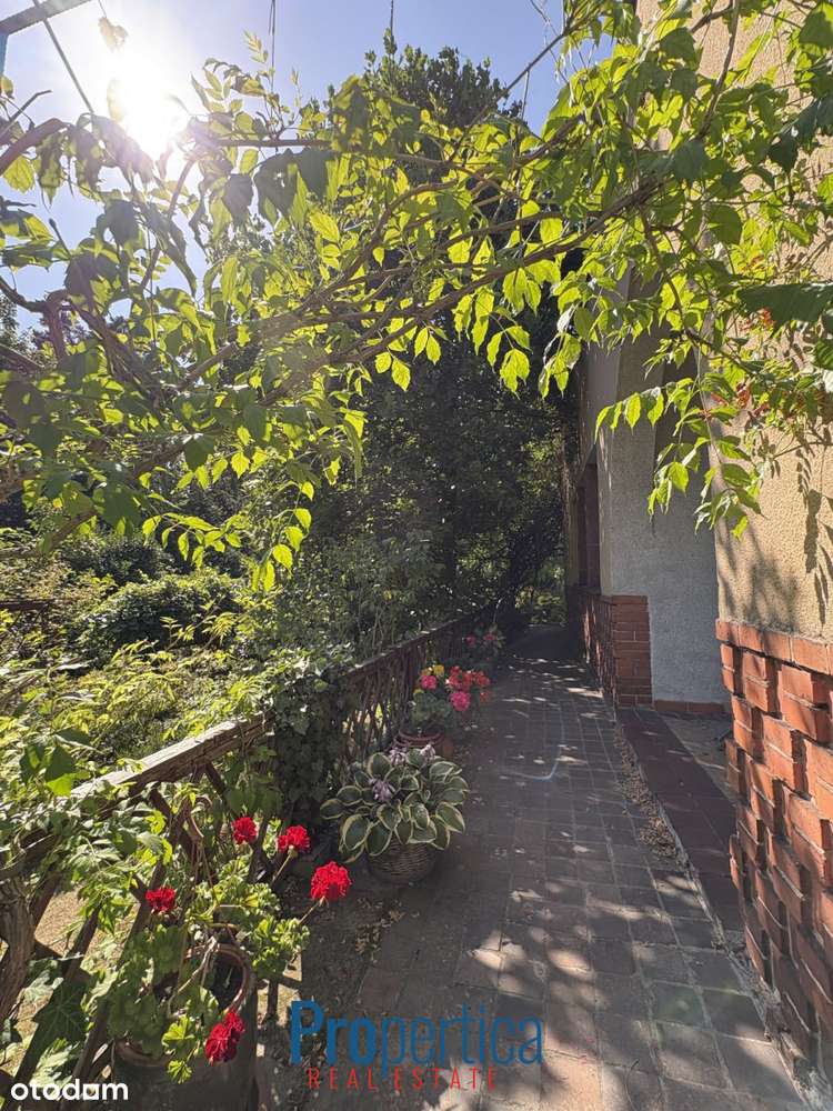 Piękny Ogród - działka w Konstancinie plus dom-19