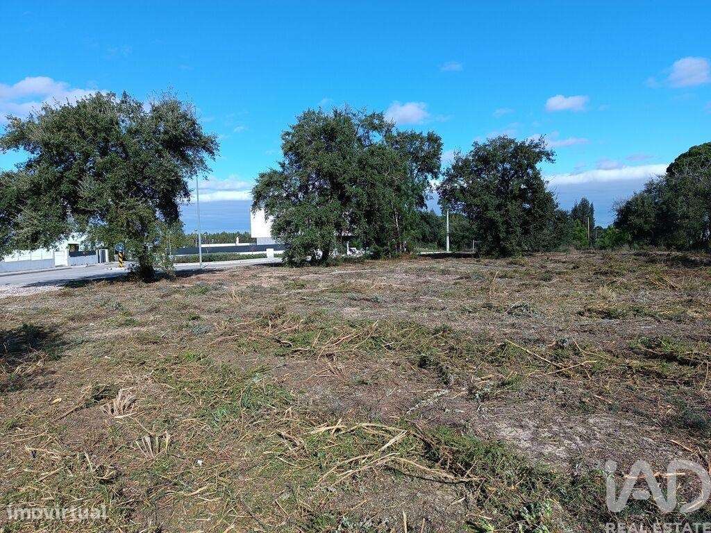 Terreno em Sesimbra (Castelo) de 5000,00 m2 - Grande imagem: 5/30