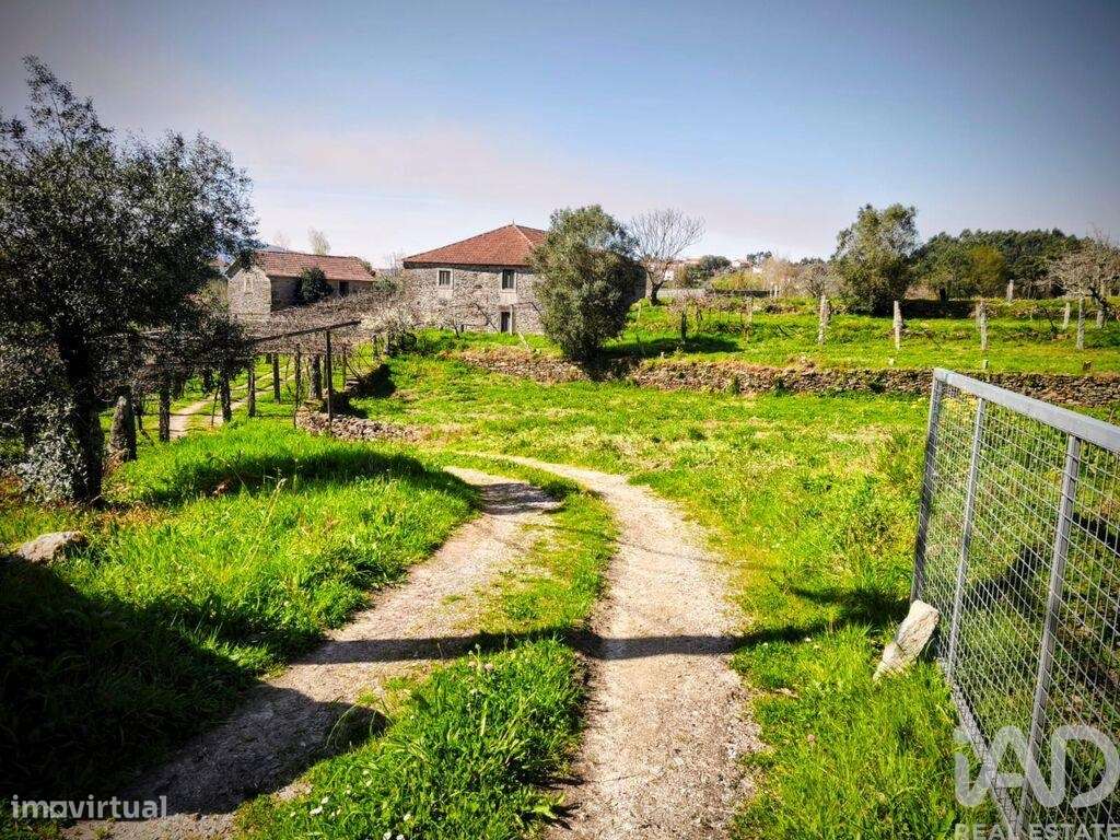 Quinta T4 em Argela de 185 m2 - Grande imagem: 5/40