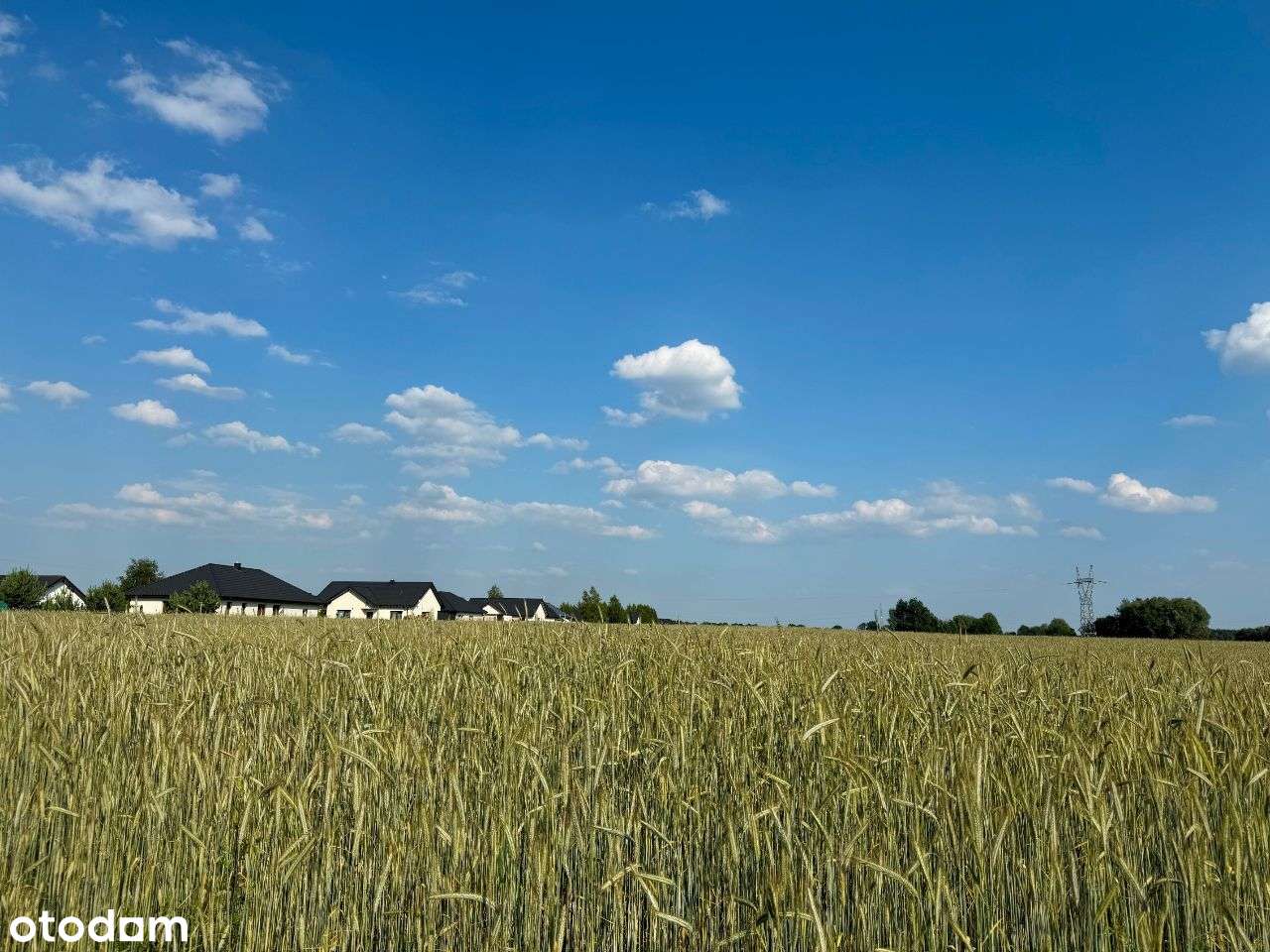 14 działek do wyboru z warunkami zabudowy w Strzelcach Górnych-9