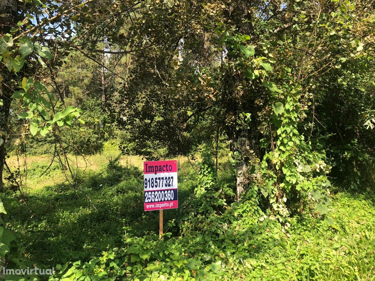 Terreno  Venda em Caldas de São Jorge e Pigeiros,Santa Maria da Feira