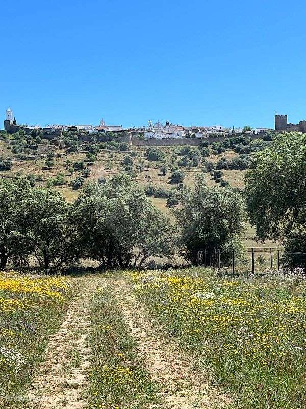 Terreno  para venda - Grande imagem: 5/7