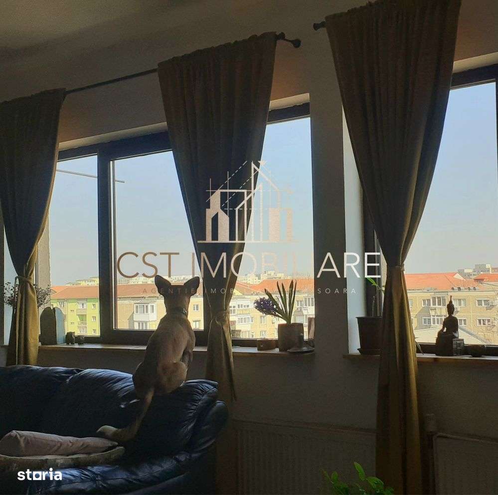 Apartament 3 camere , Torontal - Imagine principală: 4/8