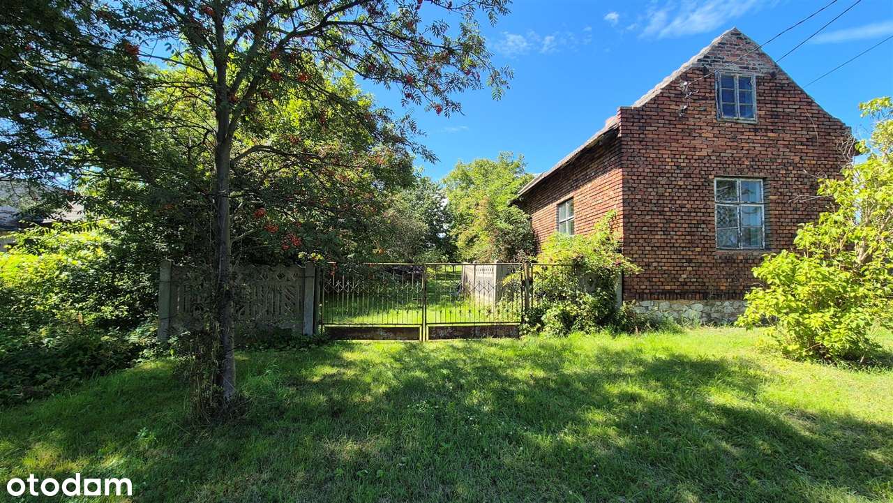 Działka z małym domkiem|Pod budowę|Z mediami-1