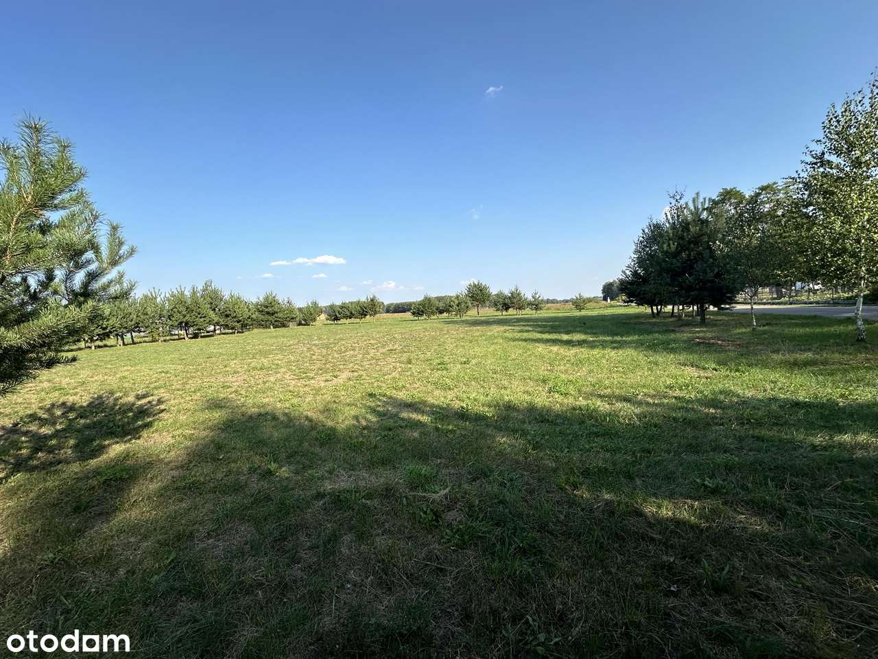 Działka Sekłak idealna na domek letniskowy - Pełny obrazek: 5/6