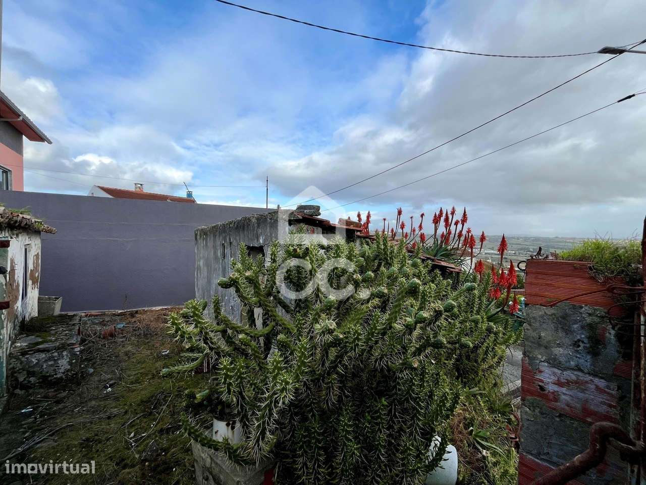 Ruína em lote urbano, Baraçais, Bombarral - Grande imagem: 5/20