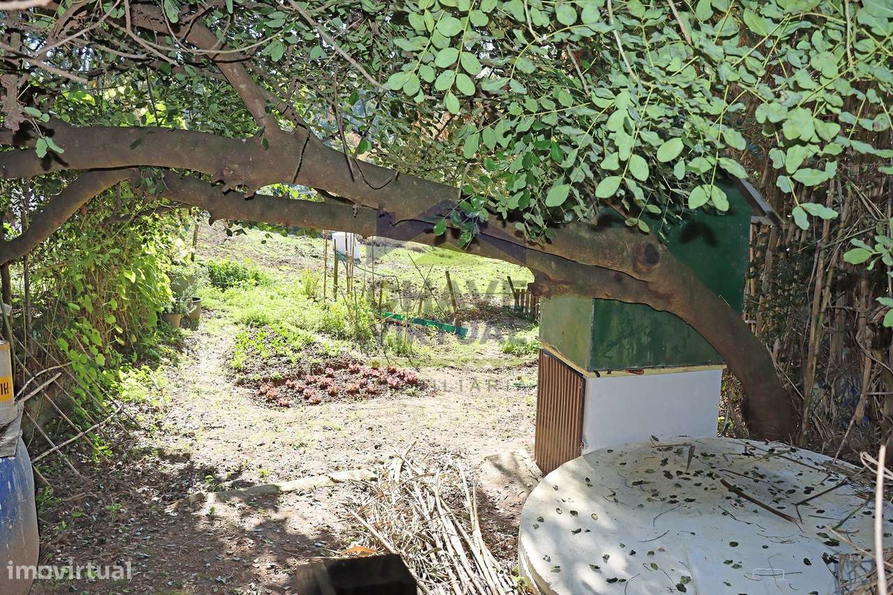 Magnífica Quinta c/ 10.490 m2 Concelho Cadaval-31