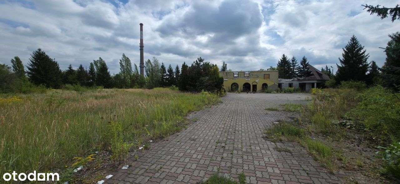 Działka, 6 053 m², Kutno-2