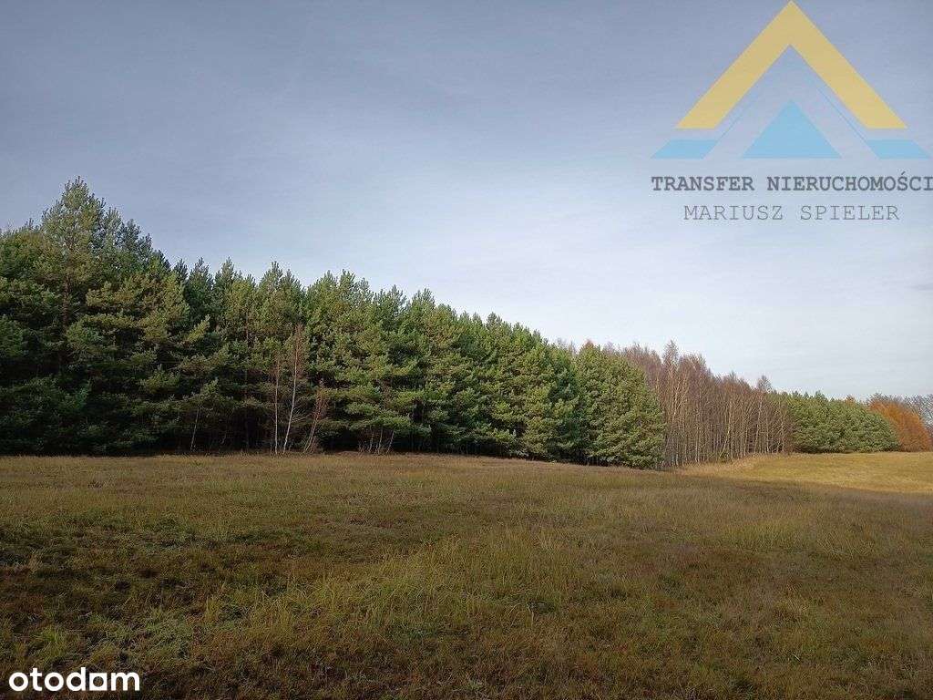 Działka leśna w Chłopowie 3,24 ha , 230 tys.!-1