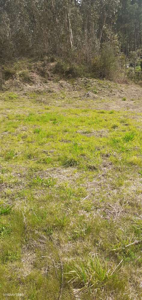 Terreno urbanizável em Sanguedo, Santa Maria da feira-13